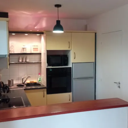 Apartment Centre, Commerces Et Nature A 5 Min A Pied Et Proche Thermes Cambo-les-Bains